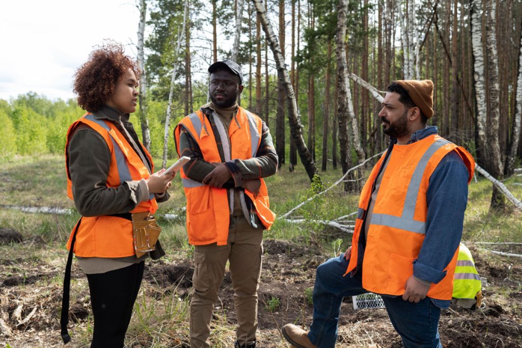 Environmental Assessments