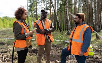 Environmental Assessments